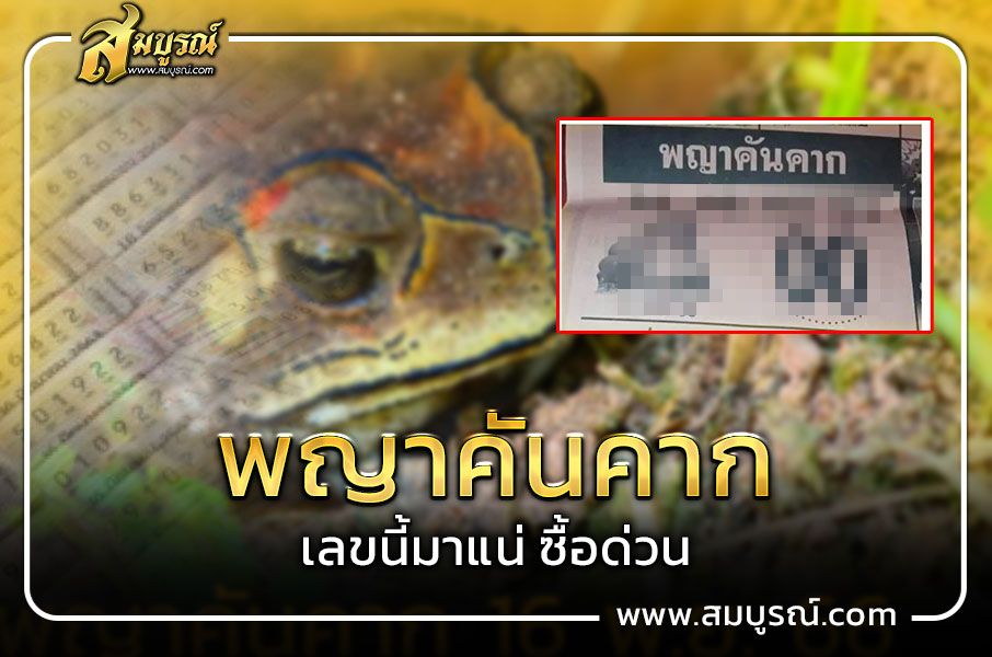 งวดนี้เด่น 0 เลขเด็ด พญาคันคาก งวด 1 ธ.ค. 66